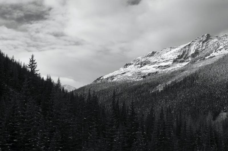 54_DSC_0069_70_71_72 mono.jpg - Rogers Pass 2008
